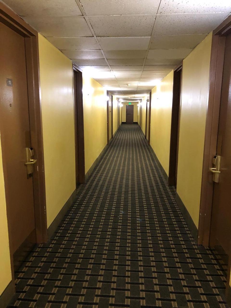 Honeyspot Motor Lodge Stratford Bagian luar foto
